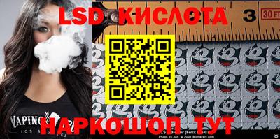 индика Кингисепп