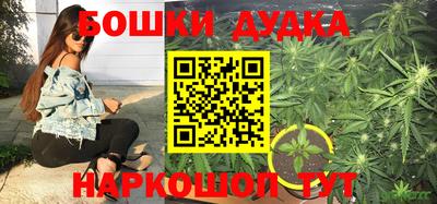 мяу мяу мука Кандалакша