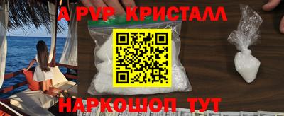 индика Кингисепп