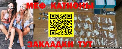 индика Кингисепп