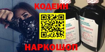 индика Кингисепп
