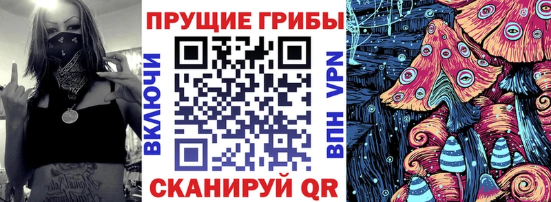 Псилоцибиновые грибы прущие грибы где купить наркотик mega как войти Котовск